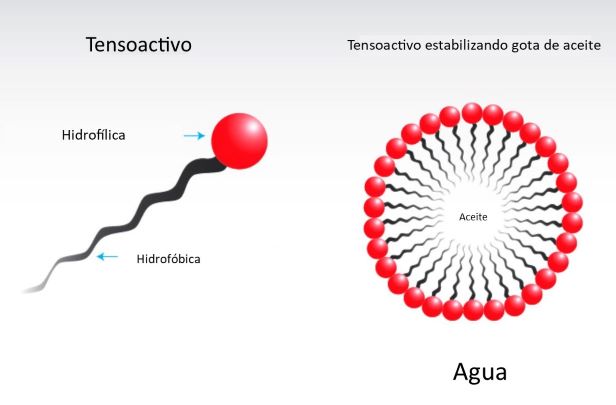 Sufractante